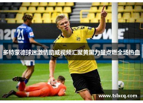 多特蒙德球迷激情助威视频汇聚黄黑力量点燃全场热血