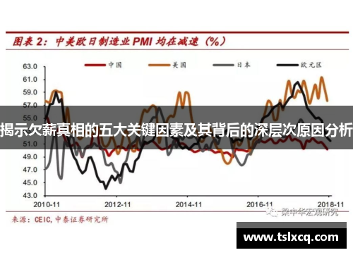 揭示欠薪真相的五大关键因素及其背后的深层次原因分析