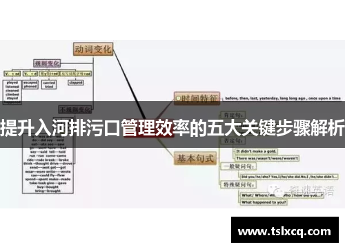 提升入河排污口管理效率的五大关键步骤解析
